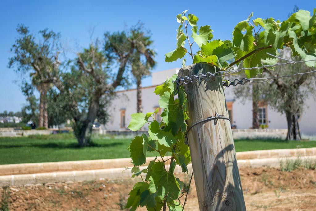 Tenuta Mose Charming House&Relais غالّيبولي المظهر الخارجي الصورة